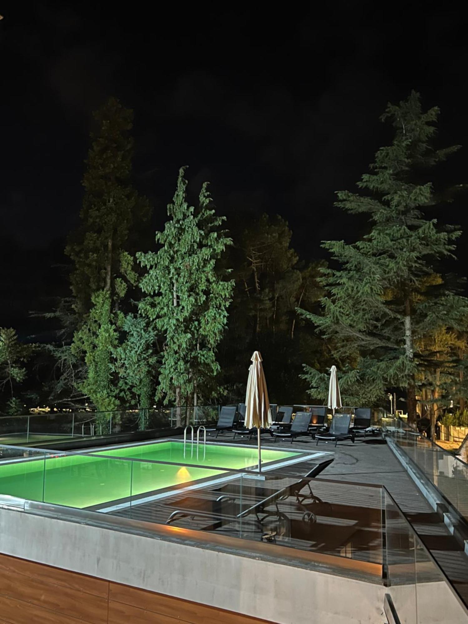 Ritsa Resort 우레키 외부 사진